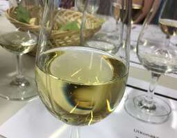 Mångsidiga druvan Chardonnay från hela Världen