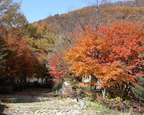Ruska Taebaek-vuoristossa ja Cheoramin hiilik...