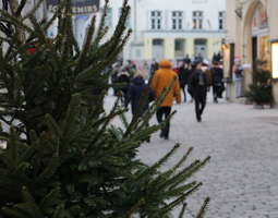 Tallinna talvella – 4 vinkkiä talviaikaan mat...