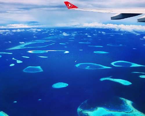 Arvostelussa Turkish Airlines ja Istanbulin u...