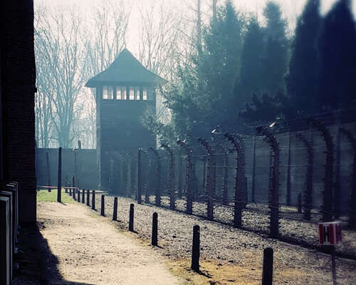 Auschwitz kirjojen sivuilla