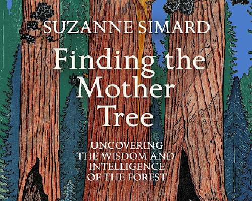 Finding the Mother Tree: Discovering the Wisd...