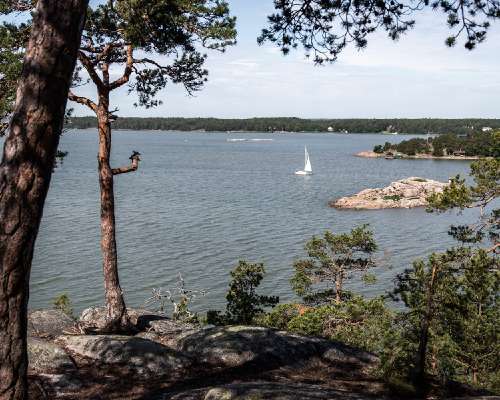 Itämeri tarvitsee suojelua - osallistu ja auta