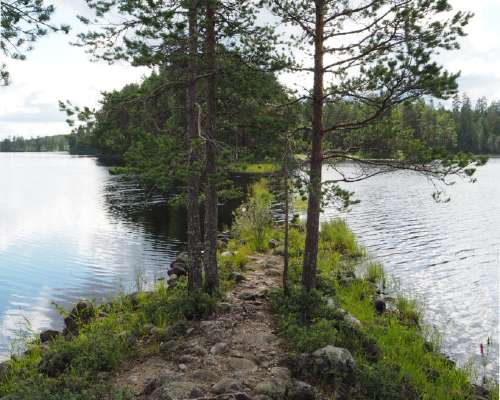 Petkeljärvi – harjumaastoa itärajalla
