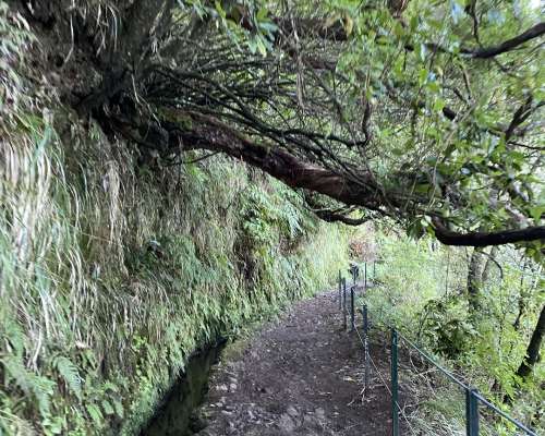 Madeira vaellukset: levadalle vai vuoren huiputus?