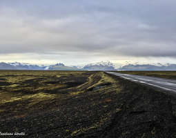 Islannin road trip alkaa katastrofilla