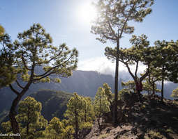 La Palma – Kanarian kaunein luontosaari