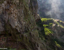 Madeiran jännittävimmällä patikkapolulla