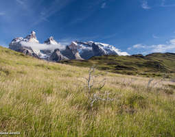 Patagonian kauneimmalla polulla
