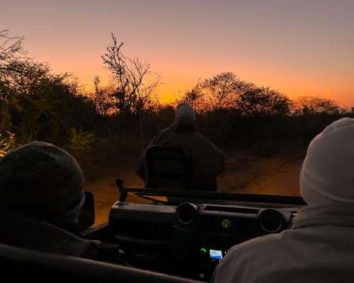 Safaripäivä Etelä-Afrikassa yksityisessä luon...