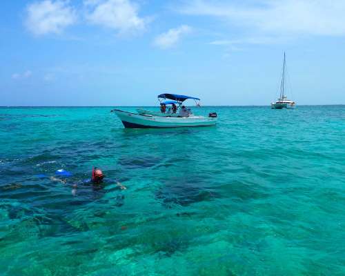 Snorklausretki Belizen valliriutalle Caye Cau...