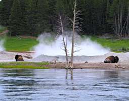 Yellowstone: Maailman vanhin kansallispuisto ...