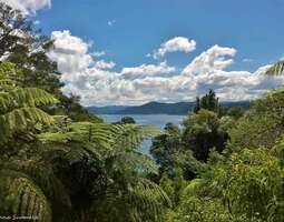 Uuden-Seelannin kaunein tie halkoo vihreää pa...