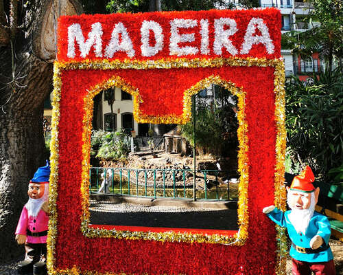 Joulu Madeiralla