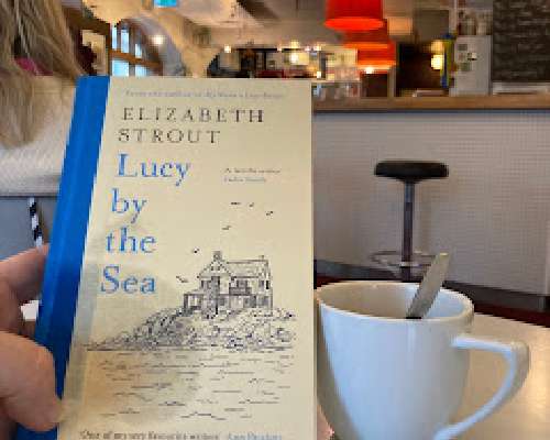 Lucy by the Sea / Elizabeth Strout