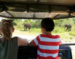 Sri Lanka Safari – Udawalawen kansallispuisto
