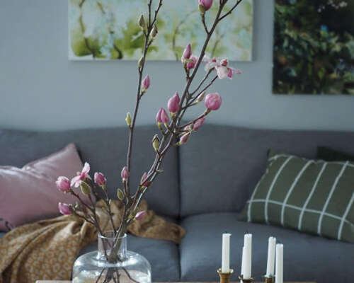 Magnolian kukintaa / Kevätfiilistä kotiin