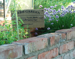 Herb garden ja siivottu kasvihuone