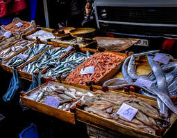 Italialainen kalakeitto ja mietteitä
