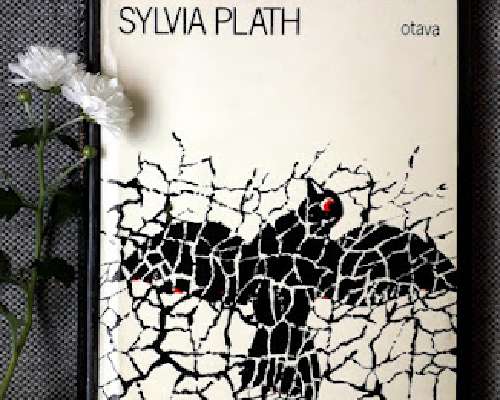 Ajatuksia Sylvia Plathista ja hänestä kirjoit...
