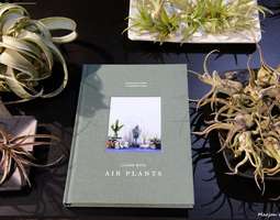Living with Air Plants - uutta vihersisustamista