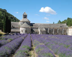 Seuraava kohde: Provence
