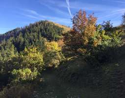 Syksyn värejä Jura-vuorilla, Le Montchanais