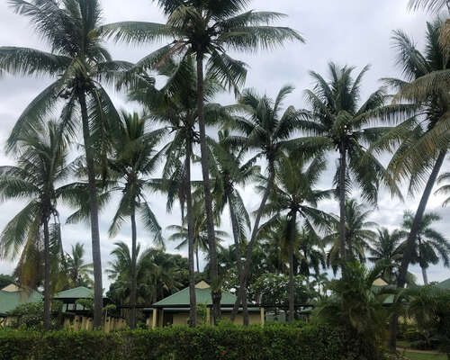 Syklonivaroitustilassa Fijillä – pääsin yhdel...