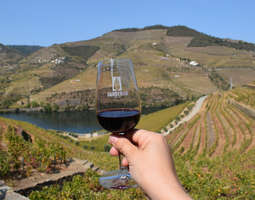 Viinimatka Portoon ja Douron laaksoon