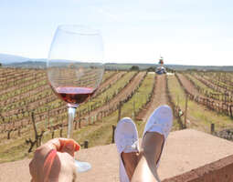 Miten suunnitella viinimatka La Riojaan? Poim...