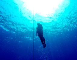 Diving to the depths - how to pick the right ...