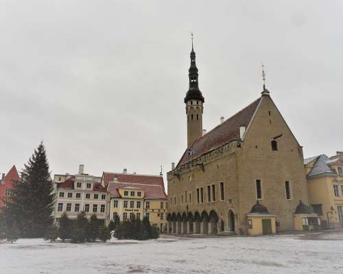 Talvinen Tallinna -mitä kuuluu Tallinna?