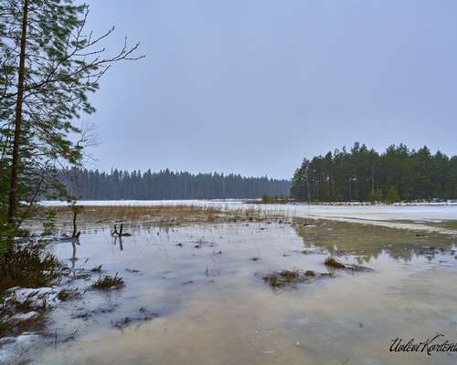 Liesjärven kansallispuisto – Kaksvetinen