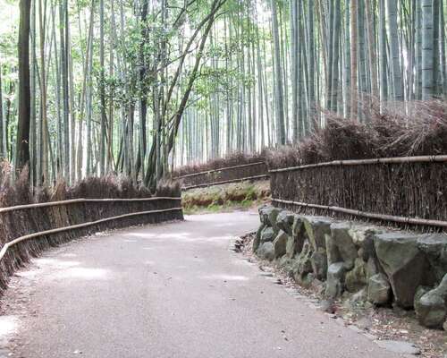 Kioton parhaat luontokohteet