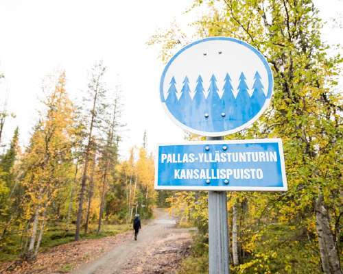 Pallas-Yllästunturin kansallispuisto – Kukasj...