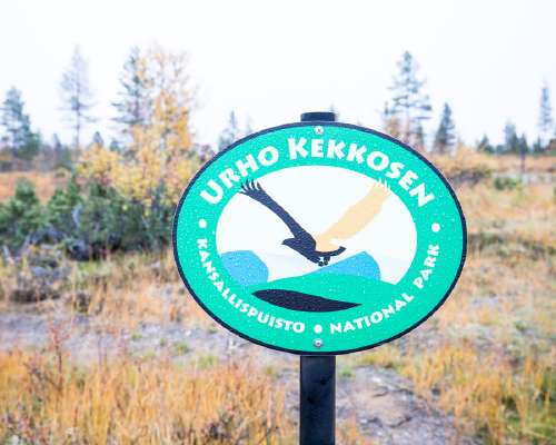 Urho Kekkosen kansallispuisto – Luulammen polku