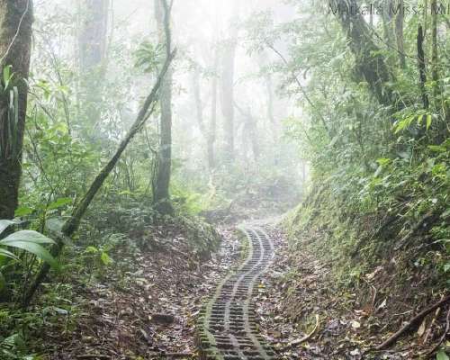 Costa Rica – Monteverden pilvimetsä