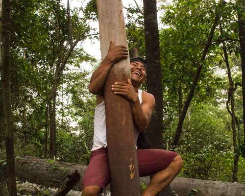 Erilaisia aktiviteetteja Amazonin sademetsässä