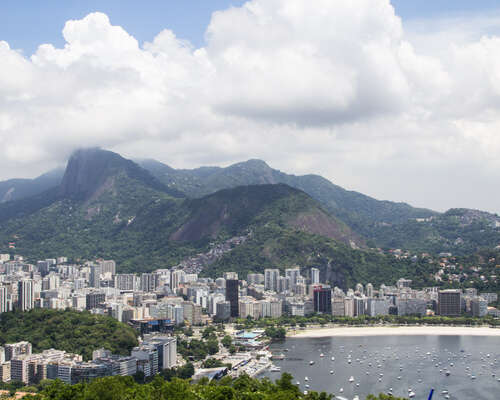 Karvaisia kummajaisia Rio de Janeiron kasviti...
