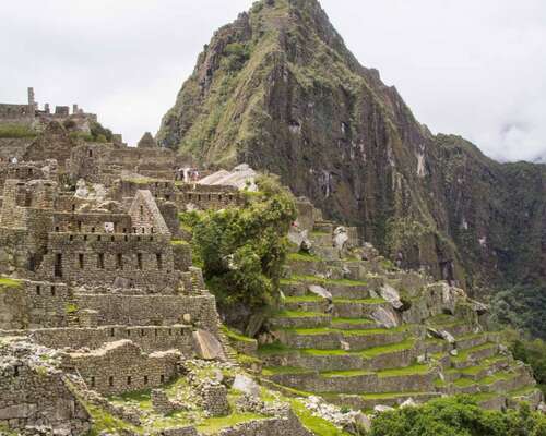 Opas inkakaupunki Machu Picchuun