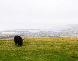 Streymoy – Färsaarten suurimman saaren monipu...