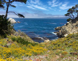 Kalifornia: Point Lobosin luonnonsuojelualue ...