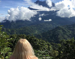 Kinabalun kansallispuisto, kuumat lähteet ja ...