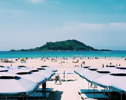 Südkorea: Die Insel Jeju erinnert an Mallorca...