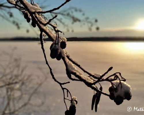 Kuukauden kuva: Talvinen järvi