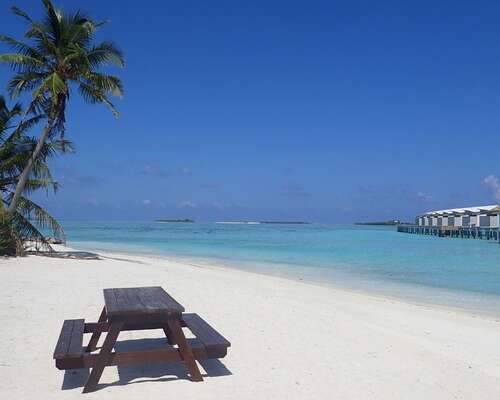 Toisen kerran Malediiveille – resortin viimei...