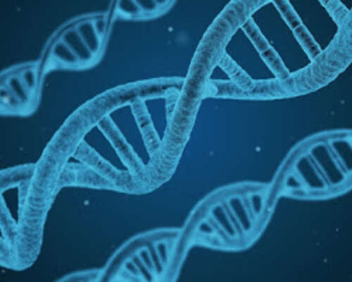 Raassinoiden DNA-projekti