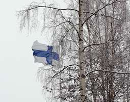 ¡Feliz cumpleaños Finlandia!
