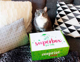 Superbox for cats Zooprise XMAS