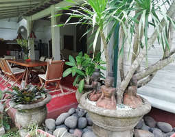Asunnon, talon tai villan vuokraaminen Balilla